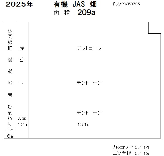 ＪＡＳ圃場作付け