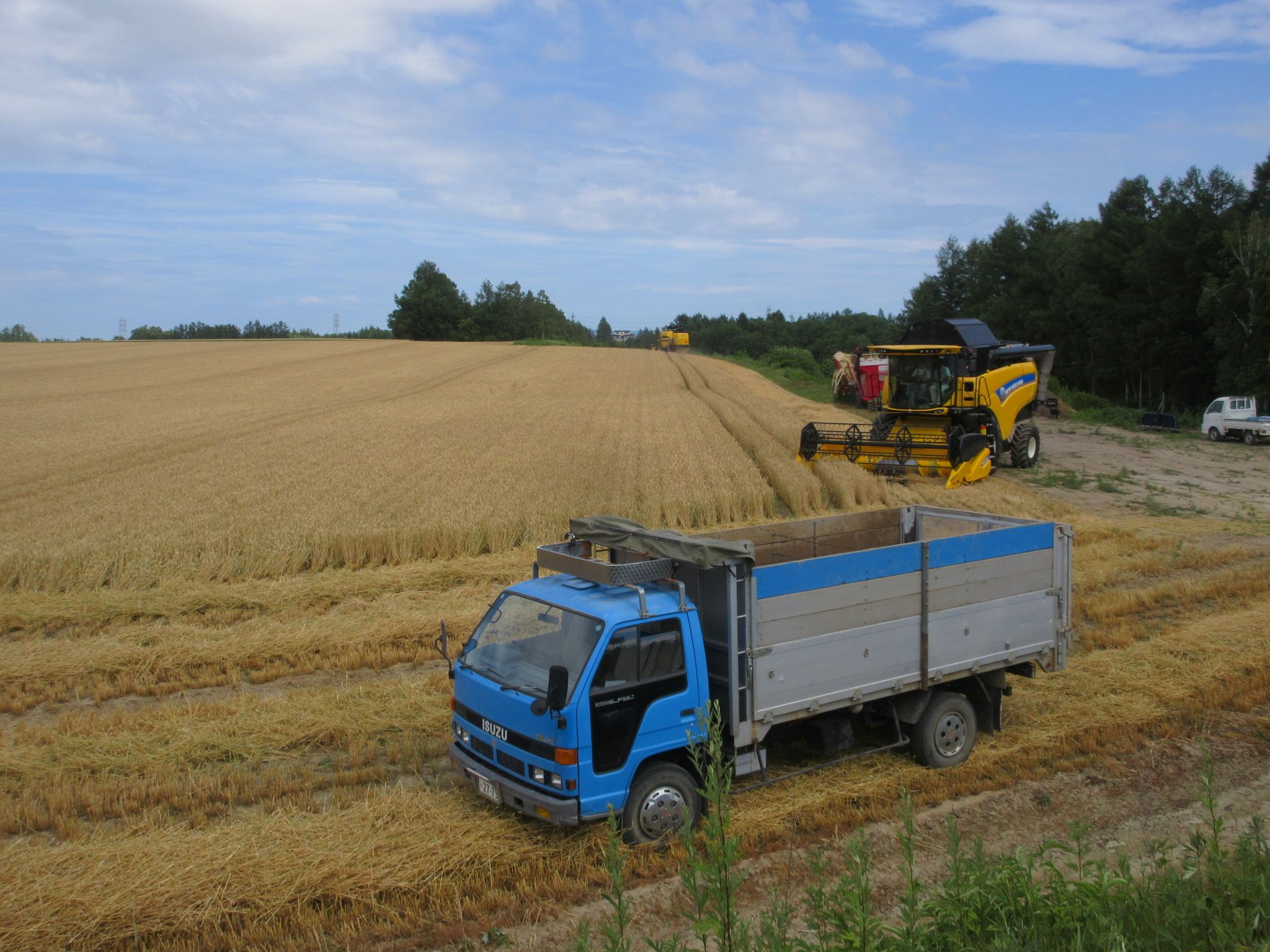 Z20250716